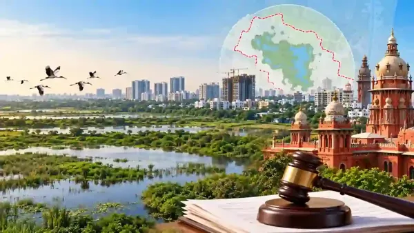 பள்ளிக்கரணை சதுப்புநில வழக்கில் புதிய திருப்பம்: கட்டுமானத்திற்கு நிபந்தனைகளுடன் அனுமதியா?