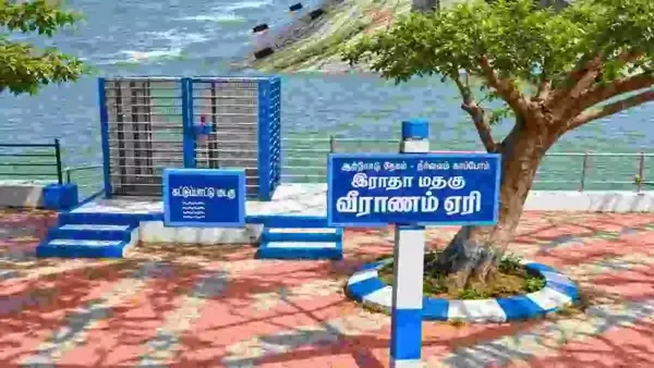 தொடர் மழையால் வீராணம் ஏரி நீர்மட்டம் 45.50 அடியாக உயர்வு: சென்னை குடிநீர், விவசாயத்துக்கு நீர் திறப்பு